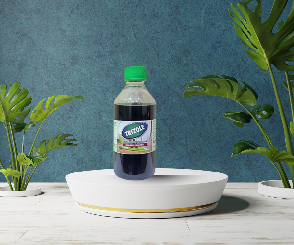 Untitled design (15)