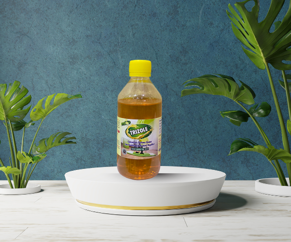 Untitled design (18)