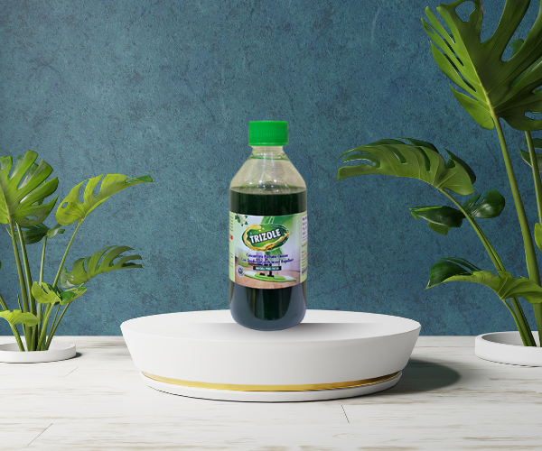 Untitled design (19)