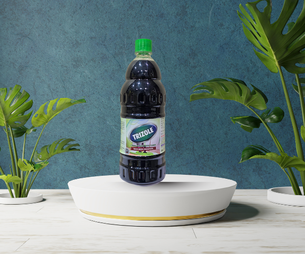 Untitled design (21)